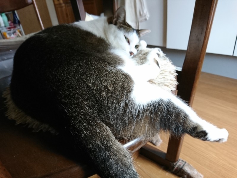 f:id:hx2:20180805100156j:plain f:id:hx2:20180805100156j:plain