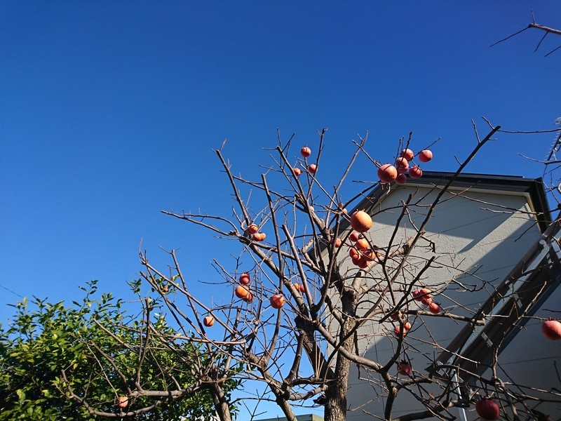 f:id:hx2:20181224130625j:plain f:id:hx2:20181224130625j:plain