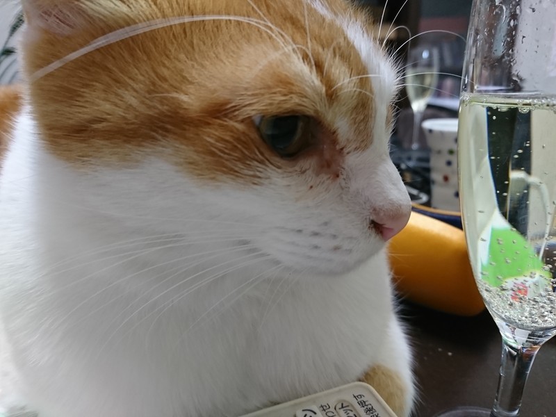 f:id:hx2:20190103205244j:plain f:id:hx2:20190103205244j:plain