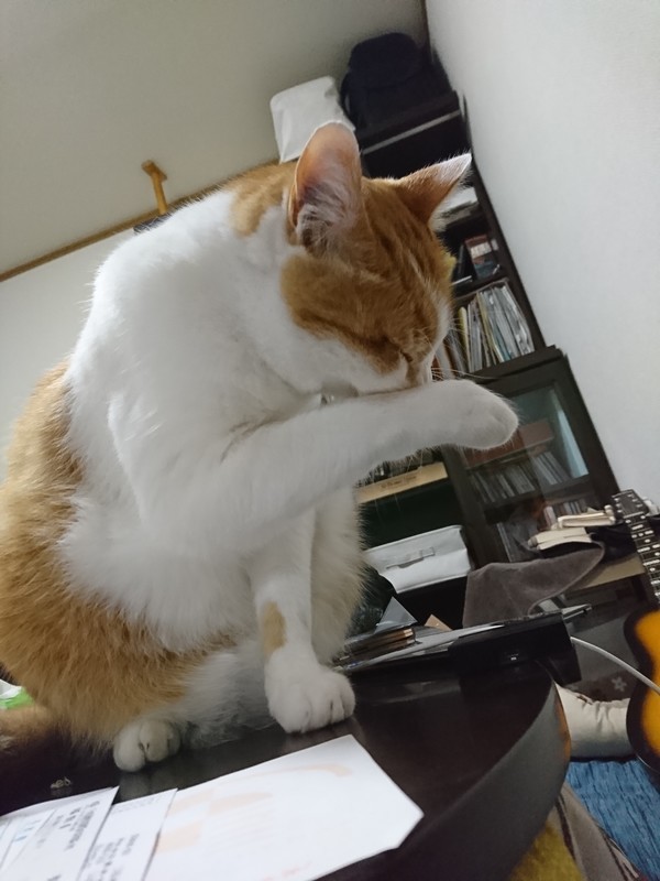 f:id:hx2:20190219204207j:plain f:id:hx2:20190219204207j:plain