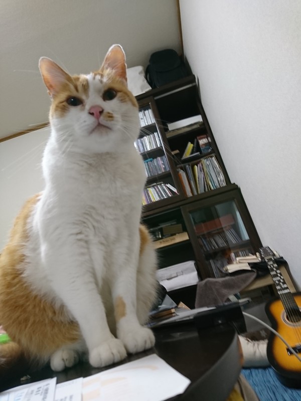 f:id:hx2:20190219204211j:plain f:id:hx2:20190219204211j:plain
