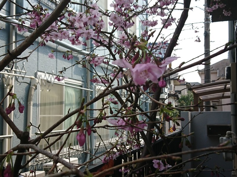 f:id:hx2:20190316140518j:plain f:id:hx2:20190316140518j:plain