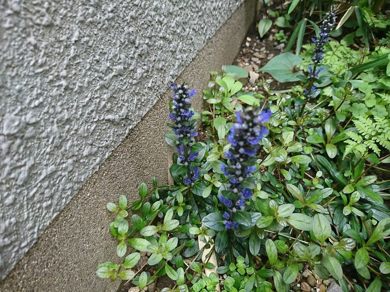 f:id:hx2:20190414130012j:plain f:id:hx2:20190414130012j:plain