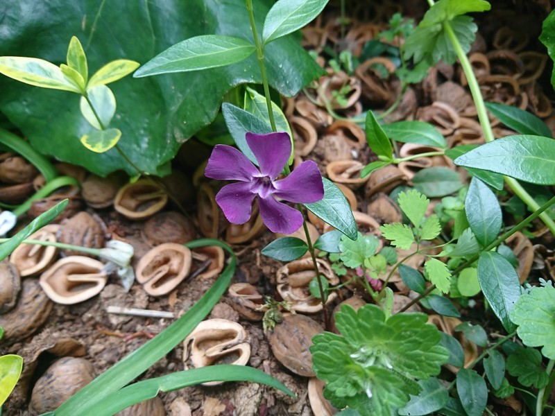 f:id:hx2:20190414130343j:plain f:id:hx2:20190414130343j:plain