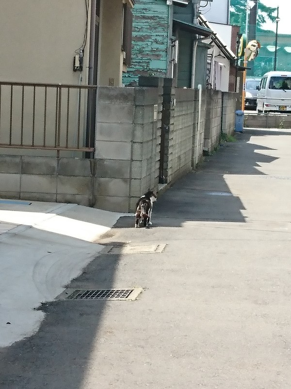 f:id:hx2:20190505124914j:plain f:id:hx2:20190505124914j:plain