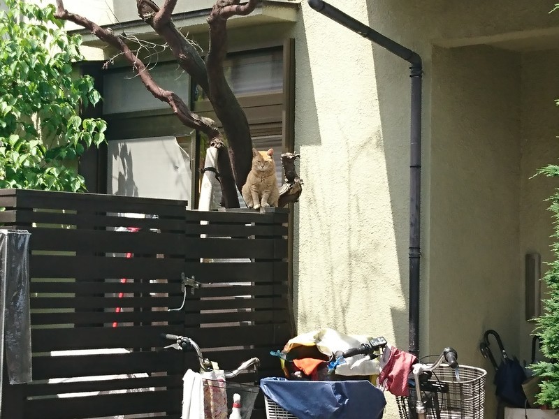 f:id:hx2:20190505125028j:plain f:id:hx2:20190505125028j:plain