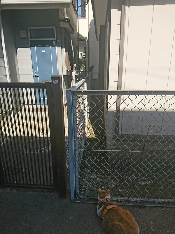 f:id:hx2:20190508081344j:plain f:id:hx2:20190508081344j:plain