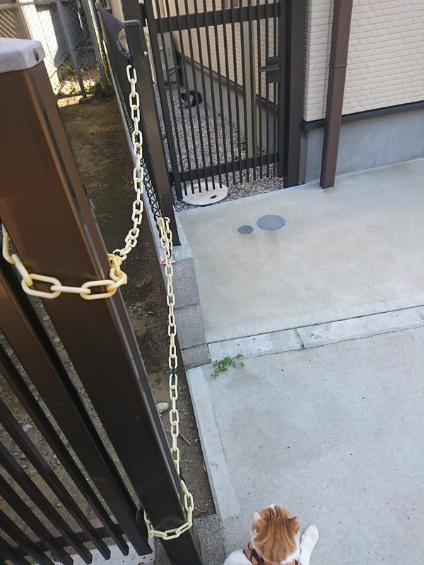 f:id:hx2:20190511140746j:plain f:id:hx2:20190511140746j:plain