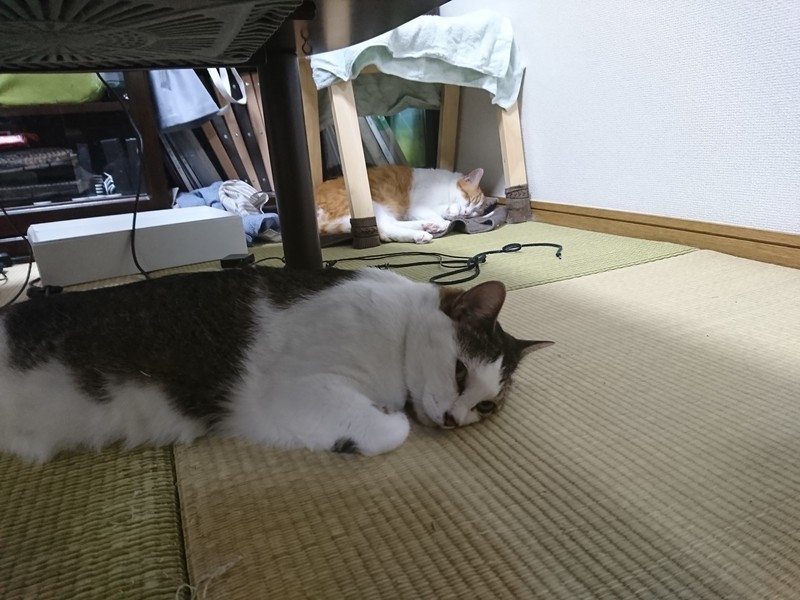 f:id:hx2:20190617223414j:plain f:id:hx2:20190617223414j:plain