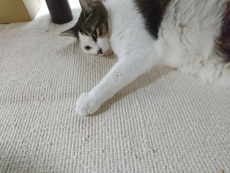 f:id:hx2:20190704190413j:plain f:id:hx2:20190704190413j:plain