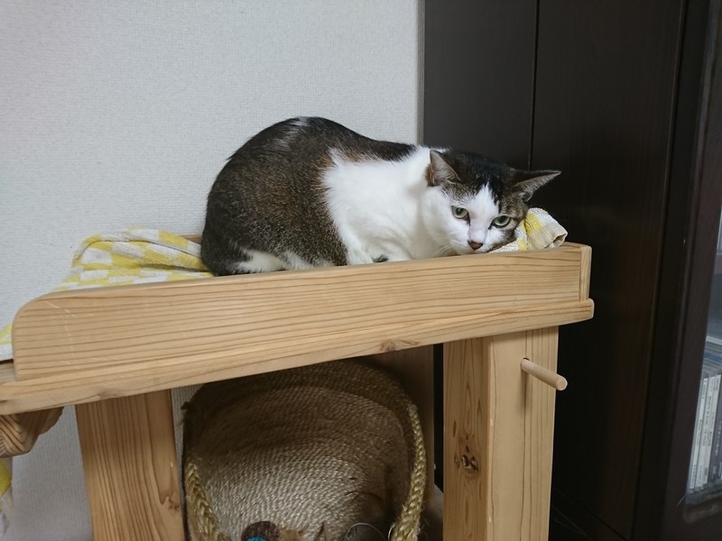 f:id:hx2:20190719164350j:plain f:id:hx2:20190719164350j:plain
