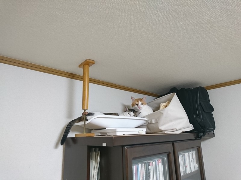 f:id:hx2:20190805210356j:plain f:id:hx2:20190805210356j:plain
