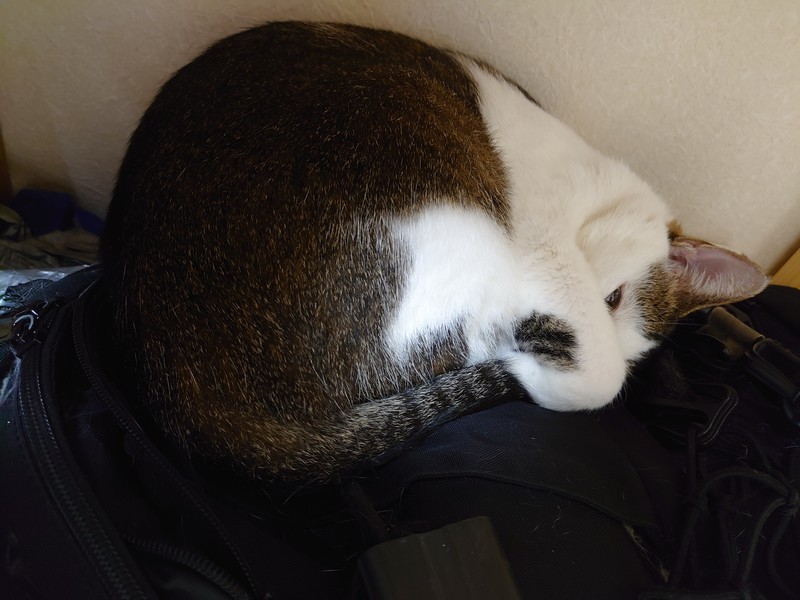 f:id:hx2:20190817220908j:plain f:id:hx2:20190817220908j:plain