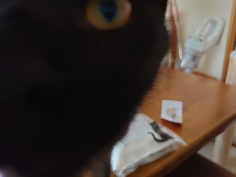 f:id:hx2:20190907090038j:plain f:id:hx2:20190907090038j:plain