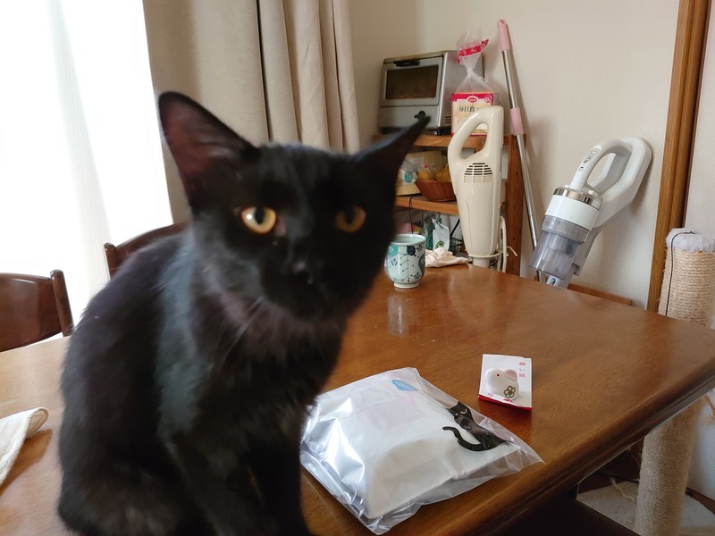 f:id:hx2:20190907090040j:plain f:id:hx2:20190907090040j:plain