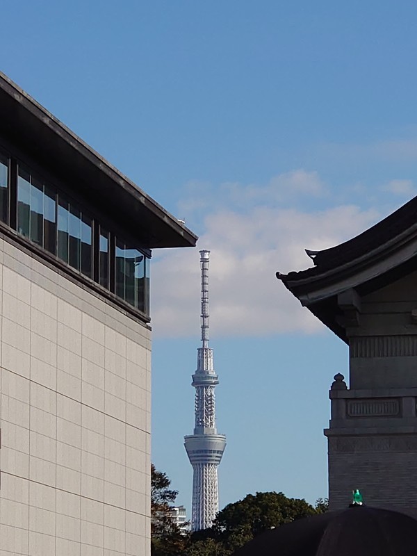 f:id:hx2:20191115132340j:plain f:id:hx2:20191115132340j:plain