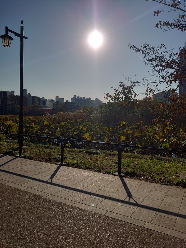 f:id:hx2:20191115142317j:plain f:id:hx2:20191115142317j:plain