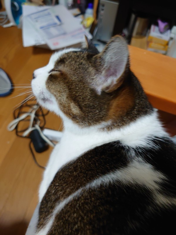 f:id:hx2:20201026200518j:plain f:id:hx2:20201026200518j:plain