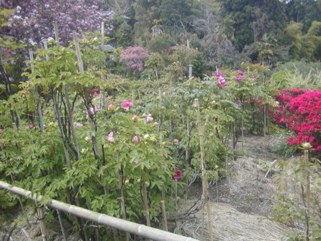 f:id:hy-ishida:20140424101934j:image f:id:hy-ishida:20140424101934j:image
