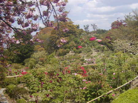 f:id:hy-ishida:20140424101937j:image f:id:hy-ishida:20140424101937j:image