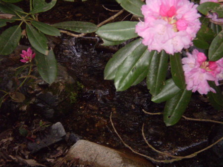 f:id:hy-ishida:20140505114809j:image f:id:hy-ishida:20140505114809j:image