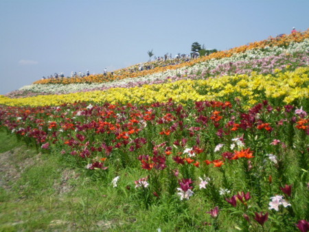 f:id:hy-ishida:20140621120921j:image f:id:hy-ishida:20140621120921j:image