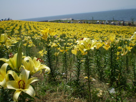 f:id:hy-ishida:20140621120940j:image f:id:hy-ishida:20140621120940j:image