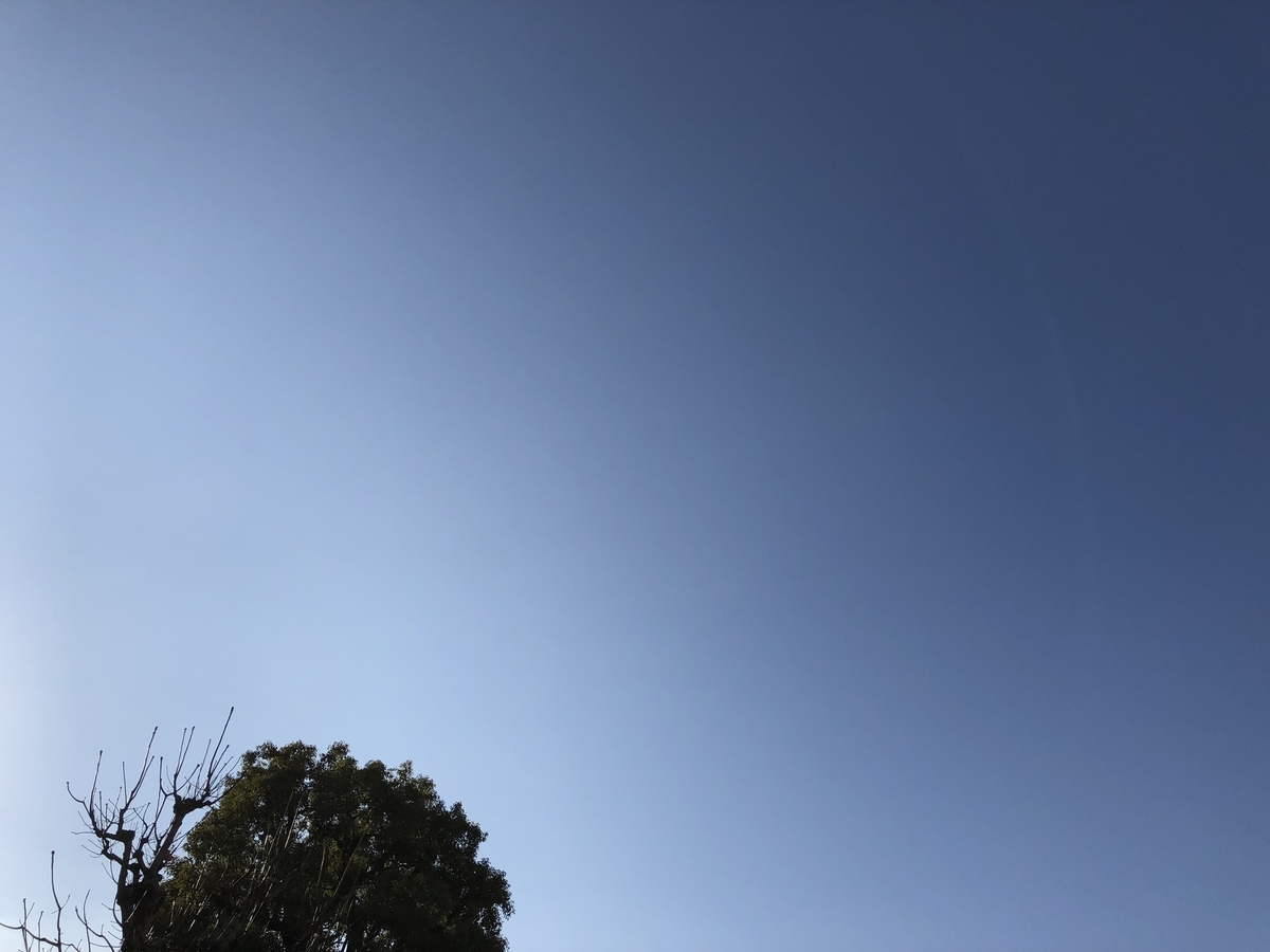 f:id:hy0116:20200116134832j:plain f:id:hy0116:20200116134832j:plain