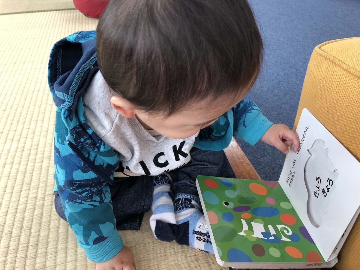 f:id:hy0116:20200222104502j:plain f:id:hy0116:20200222104502j:plain