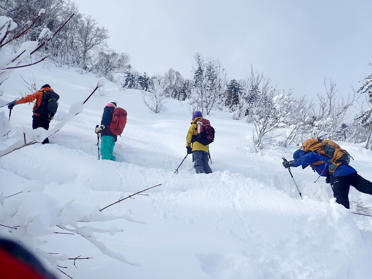 2020-02-04 タケノコ山（934㍍）札幌150峰 - 百松山岳会