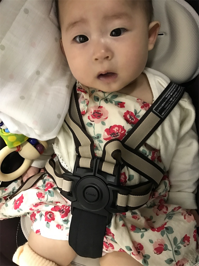 f:id:hyakuoku111:20170529135133j:image f:id:hyakuoku111:20170529135133j:image