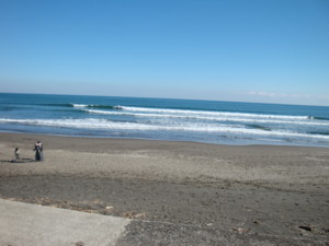 f:id:hyakushougaku:20081202114818j:image