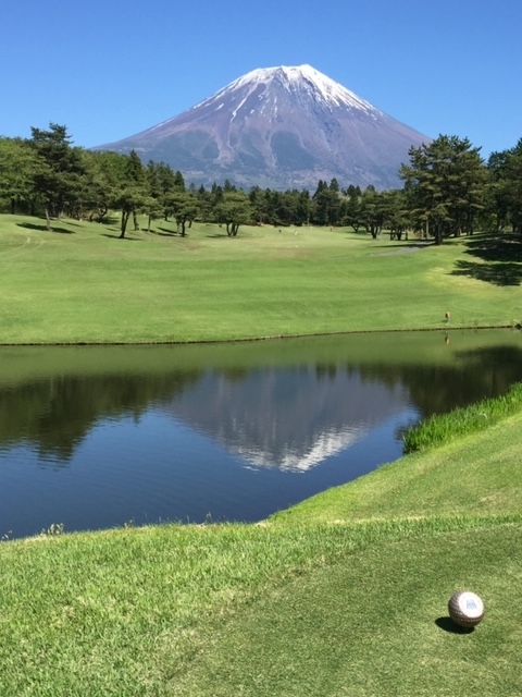 f:id:hyakusyoikki:20200425205039j:plain