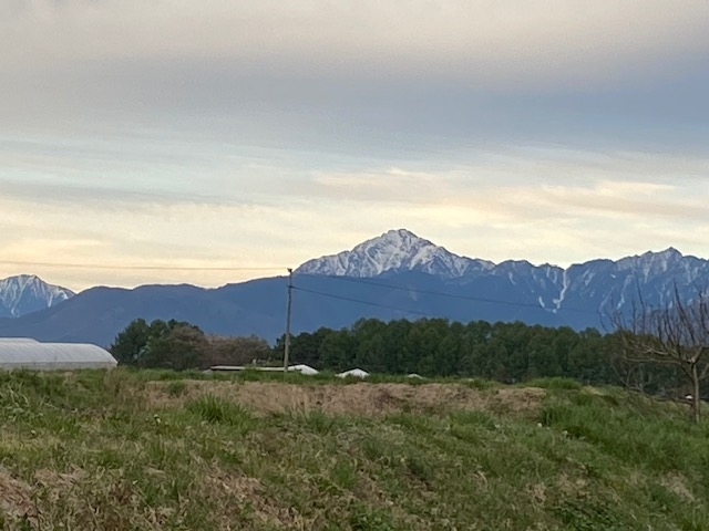 f:id:hyakusyoikki:20200513194123j:plain