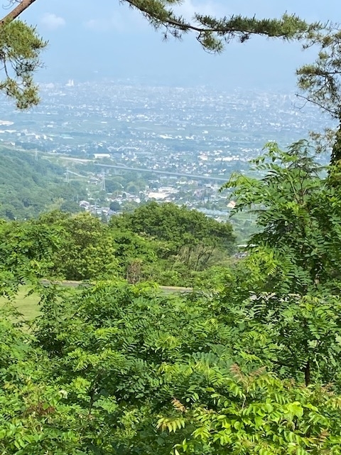 f:id:hyakusyoikki:20200607193152j:plain