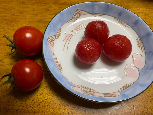 f:id:hyakusyoikki:20200713192703j:plain f:id:hyakusyoikki:20200713192703j:plain