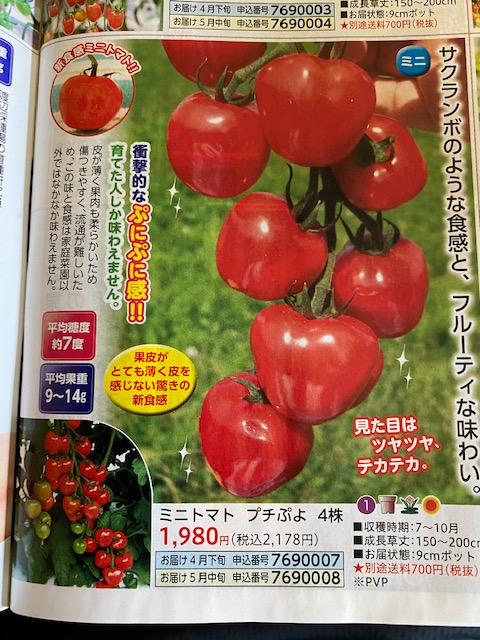 f:id:hyakusyoikki:20200719204105j:plain f:id:hyakusyoikki:20200719204105j:plain