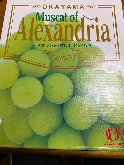 f:id:hyakusyoikki:20200809201400j:plain f:id:hyakusyoikki:20200809201400j:plain