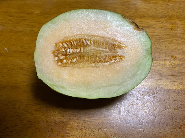 f:id:hyakusyoikki:20200816132835j:plain