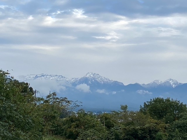 f:id:hyakusyoikki:20201018174717j:plain