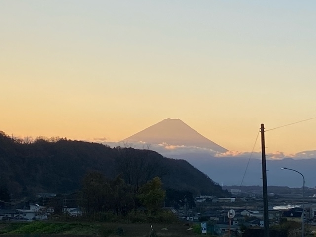 f:id:hyakusyoikki:20201123165540j:plain