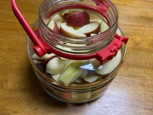 f:id:hyakusyoikki:20201202200628j:plain