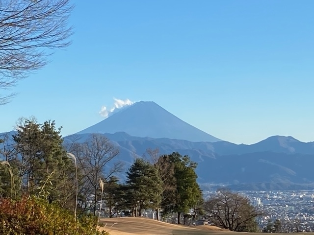 f:id:hyakusyoikki:20201225194841j:plain
