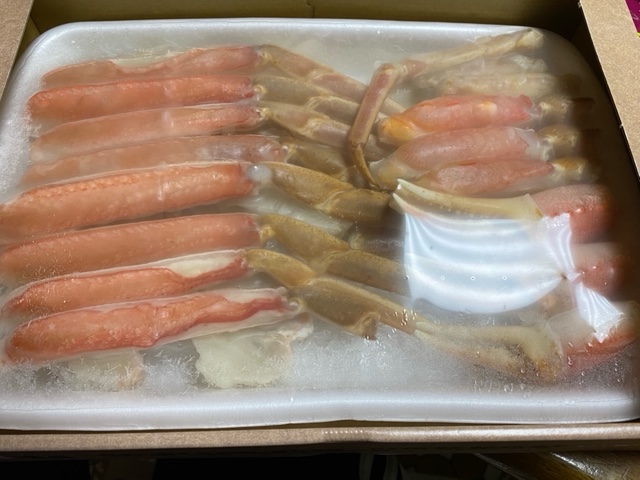 f:id:hyakusyoikki:20210129155124j:plain