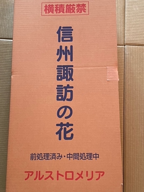 f:id:hyakusyoikki:20210206185651j:plain