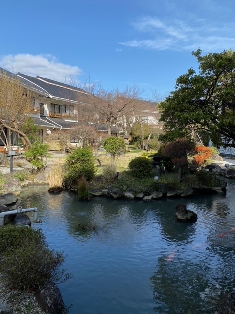 f:id:hyakusyoikki:20210323214940j:plain