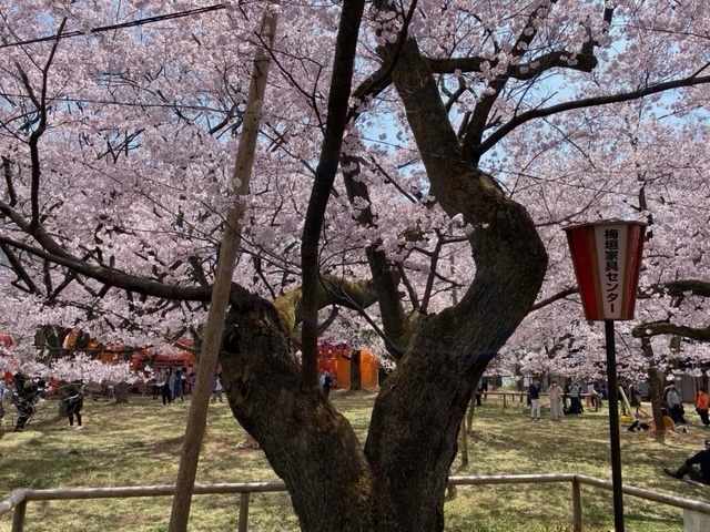 f:id:hyakusyoikki:20210402195527j:plain