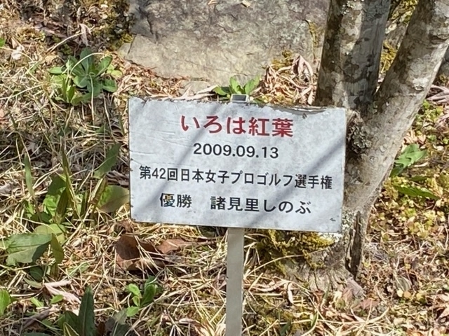f:id:hyakusyoikki:20210405104436j:plain