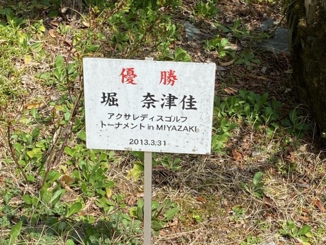 f:id:hyakusyoikki:20210405104554j:plain