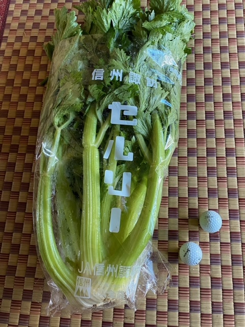 f:id:hyakusyoikki:20210607205657j:plain